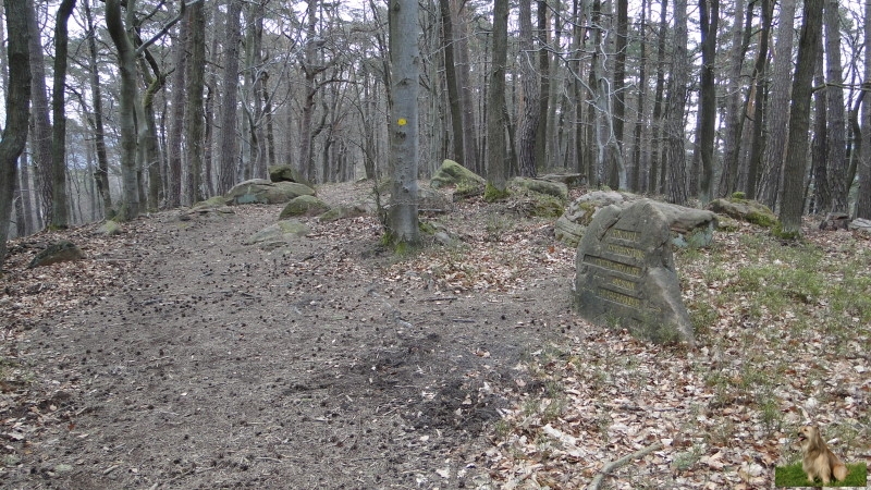 Ritterstein Nr. 252-3 Ringwall - Bergfestung - Hallstattzeit - Mittelalter - 400 Schr. Gräberfelder.JPG - Ritterstein Nr.252 Ringwall - Bergfestung - Hallstattzeit - Mittelalter - 400 Schr. Gräberfelder